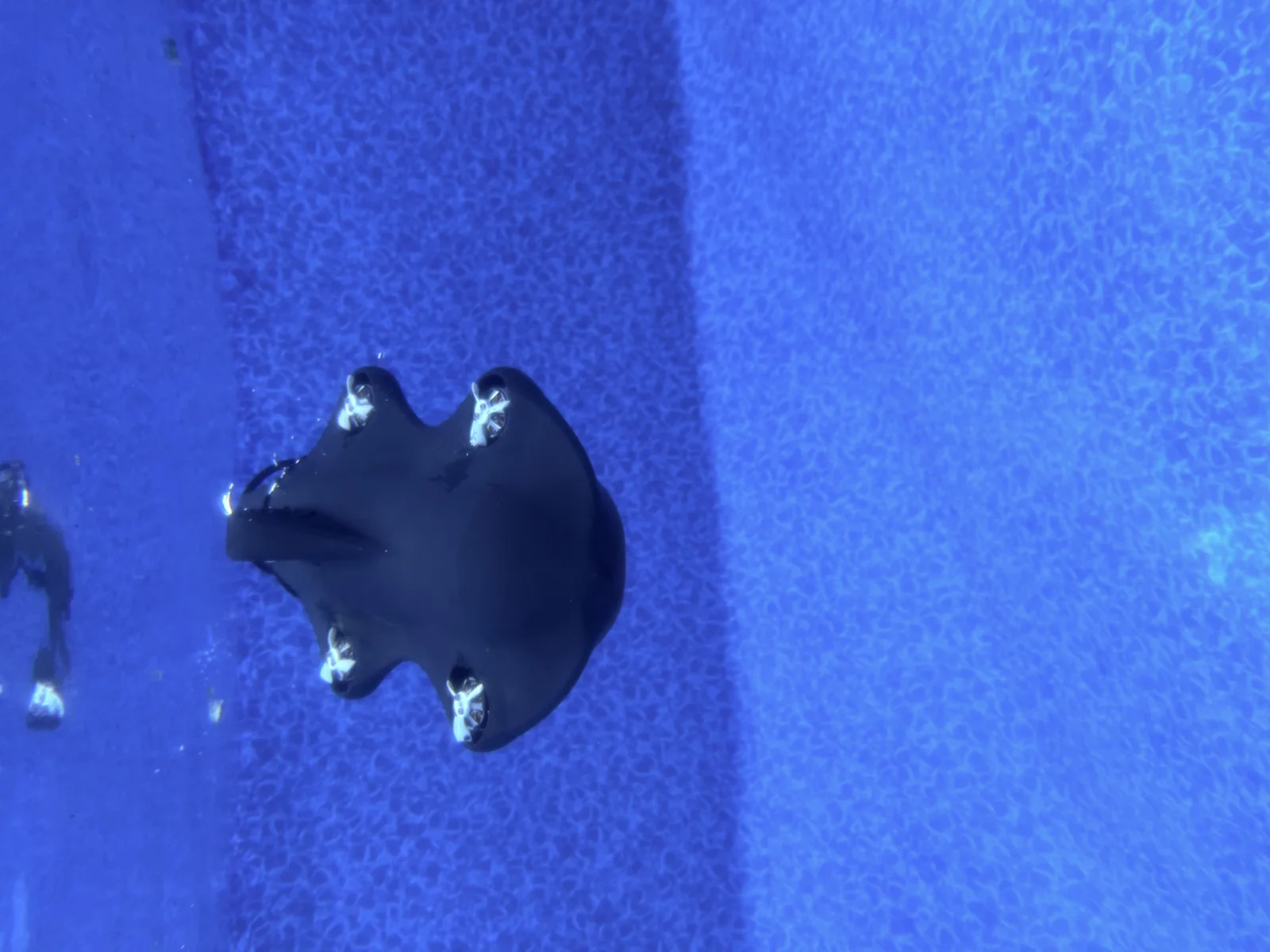 Pelagos Vantage V0 underwater drone during pool trials